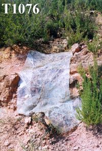 T1076