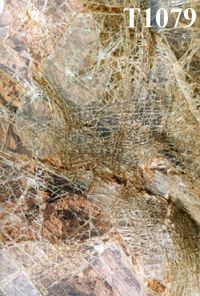 T1079