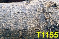 T1155
