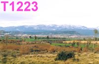 T1223