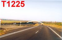 T1225