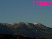 T1802