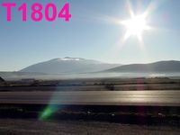 T1804